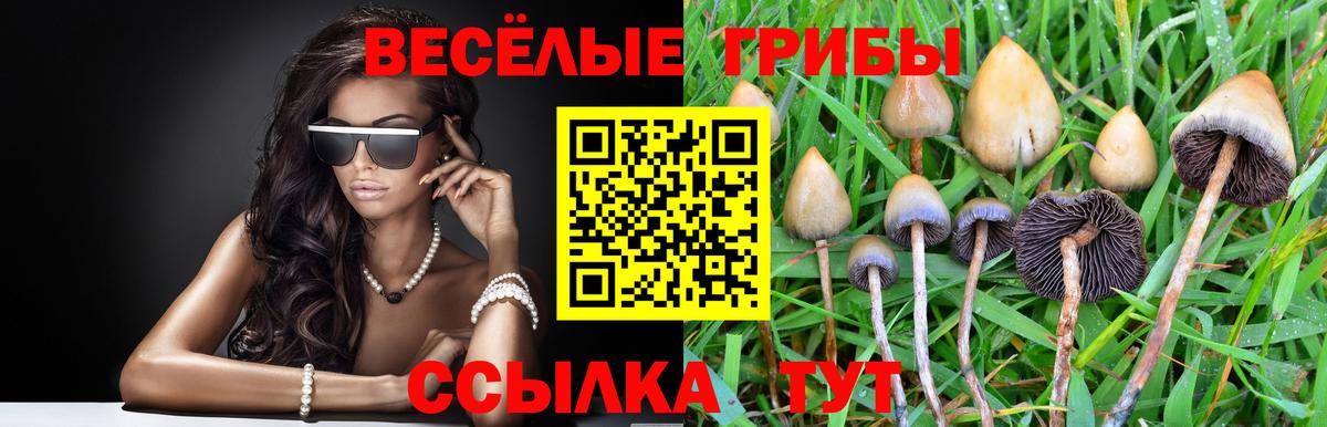Галлюциногенные грибы ЛСД  Вход с VPN  Псилоцибиновые грибы Psilocybe  Щёлково 