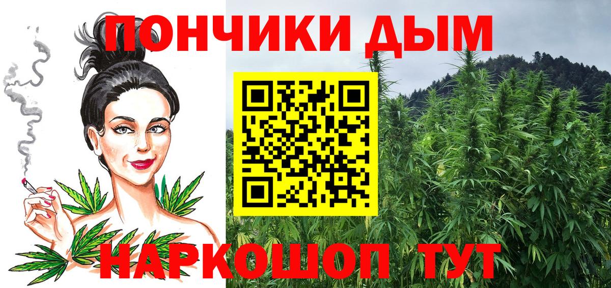 Бошки марихуана Bruce Banner  Вход с VPN  Канабис семена  Бошки Шишки планчик  Щёлково 